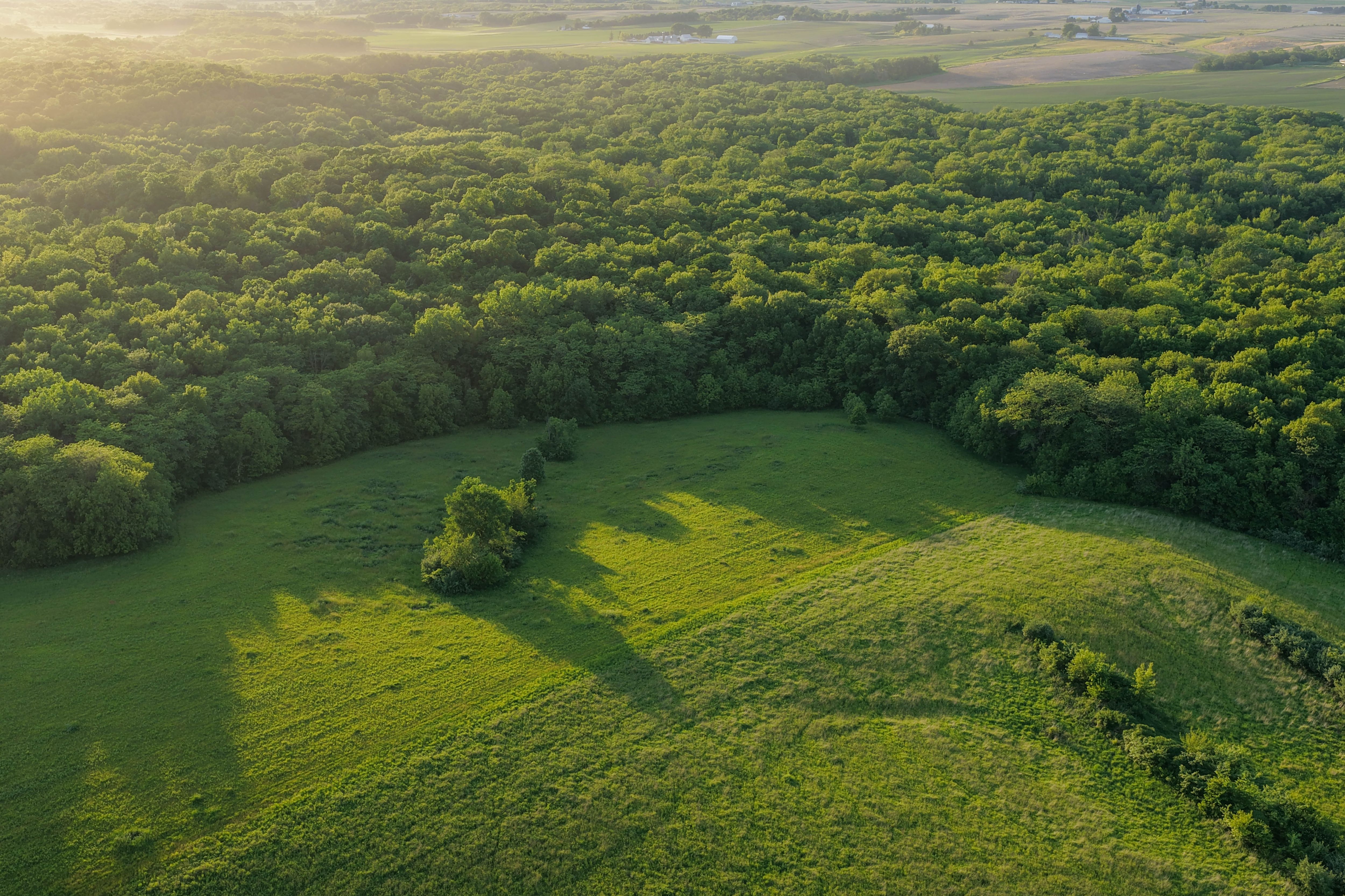 Listing Photo: Washington County Iowa Recreational Land For Sale-64
